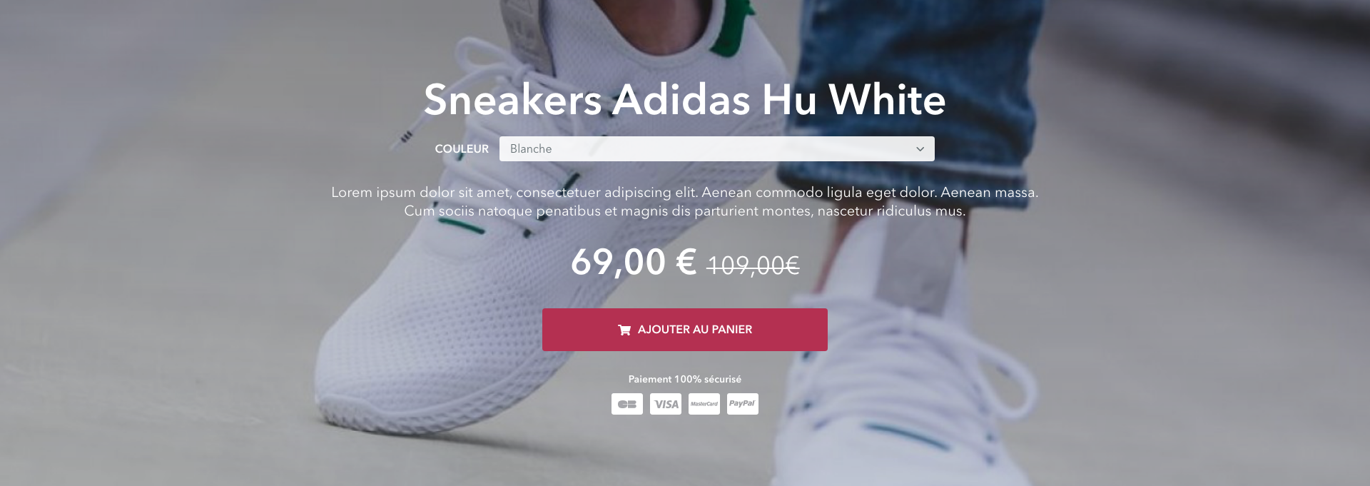 exemple-bloc-site-mono-produit-wizishop-dropizi-2