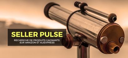 Seller Pulse : Avis sur l'outil pour trouver des produits avec Amazon et AliExpress
