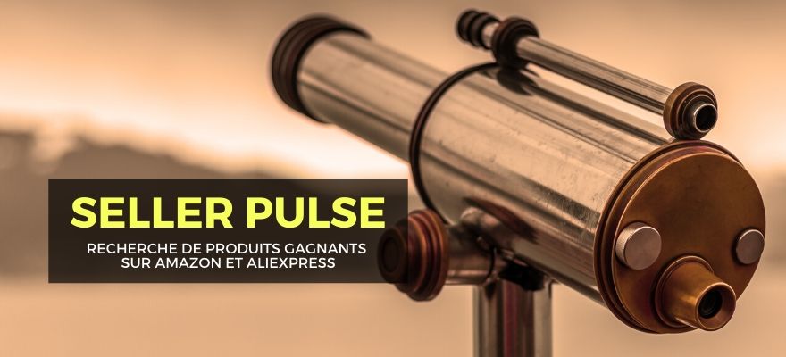 Seller Pulse : Avis sur l'outil pour trouver des produits avec Amazon et AliExpress