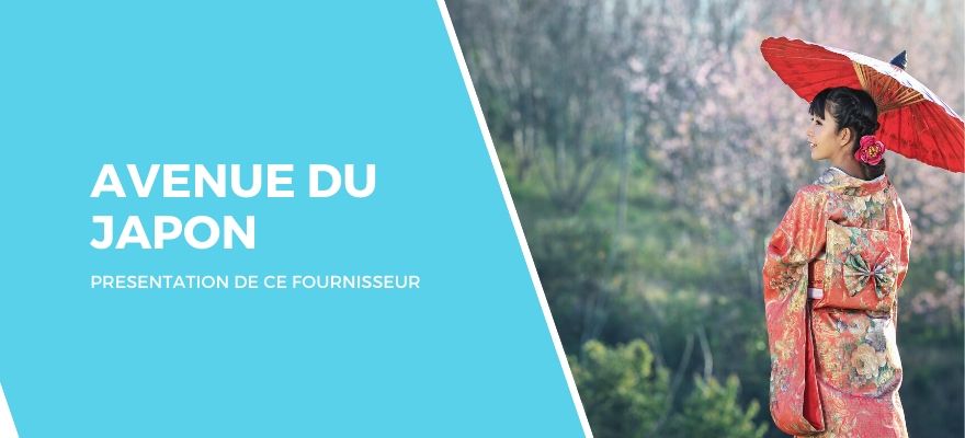 Dropshipping avec Avenue du Japon : Présentation et avantages de ce fournisseur !