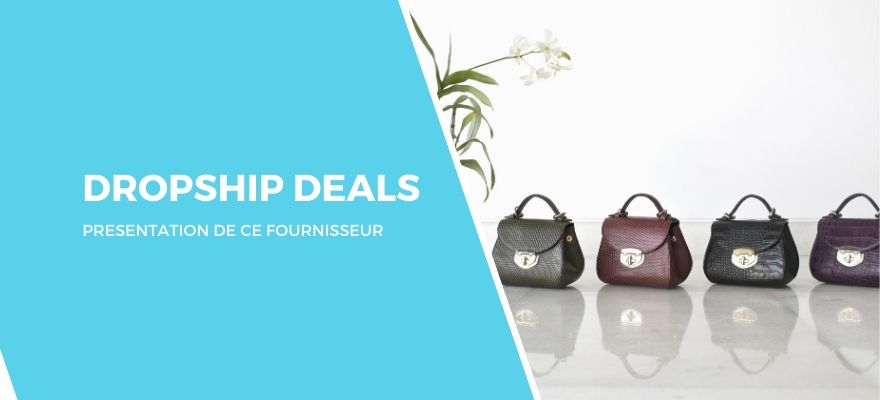 Dropship Deals : Présentation de ce site qui met en relation fournisseurs et revendeurs